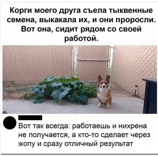 Немного картинок для настроения 117