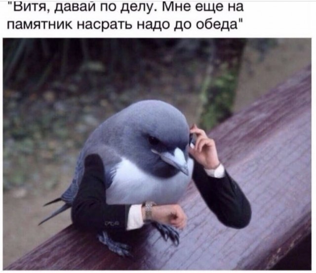 Картинки и мемы для настроения 017