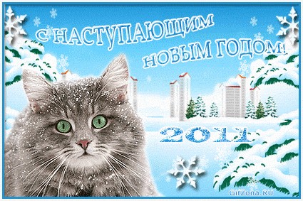 C Новым 2011 Годом!