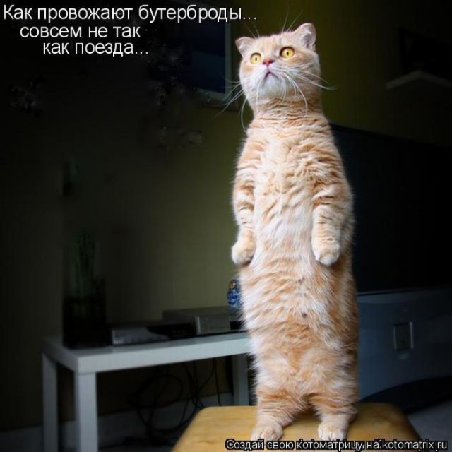 (G)old 5