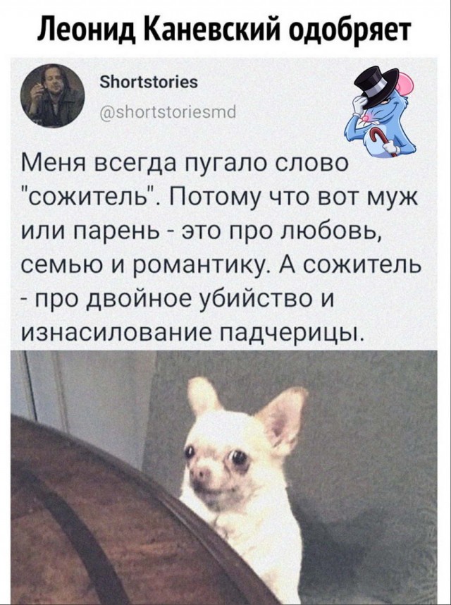Бредзона 15.02.21