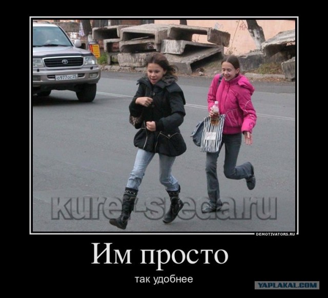 Тупые пешеходы Приморского района Петербурга