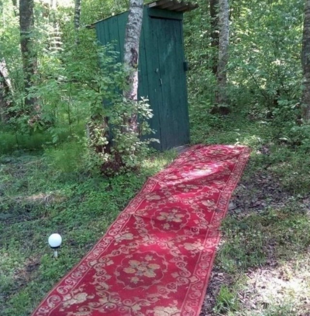 Шелушение коры