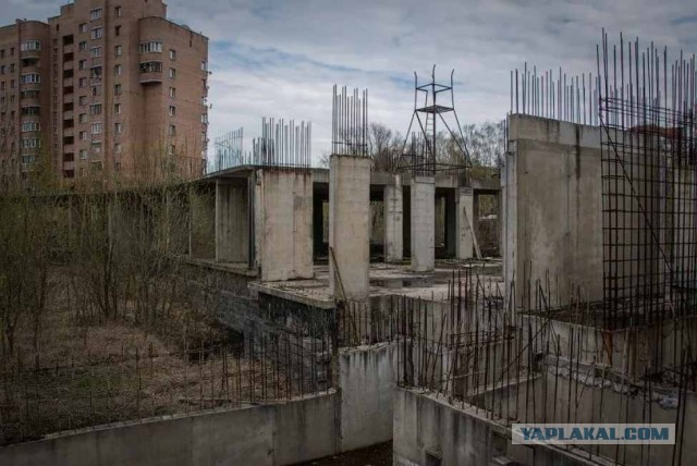 На этой площадке выживет только самый сильный, ловкий и внимательный