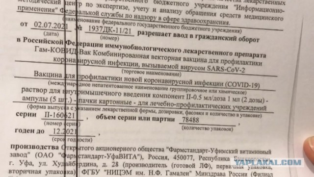 Зомби-апокалипсис 2022