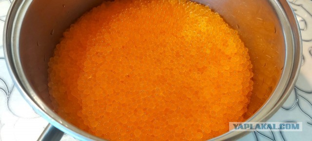 Кулинарная общалка