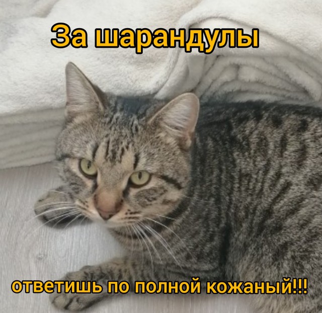 Однажды в студёную зимнюю пору