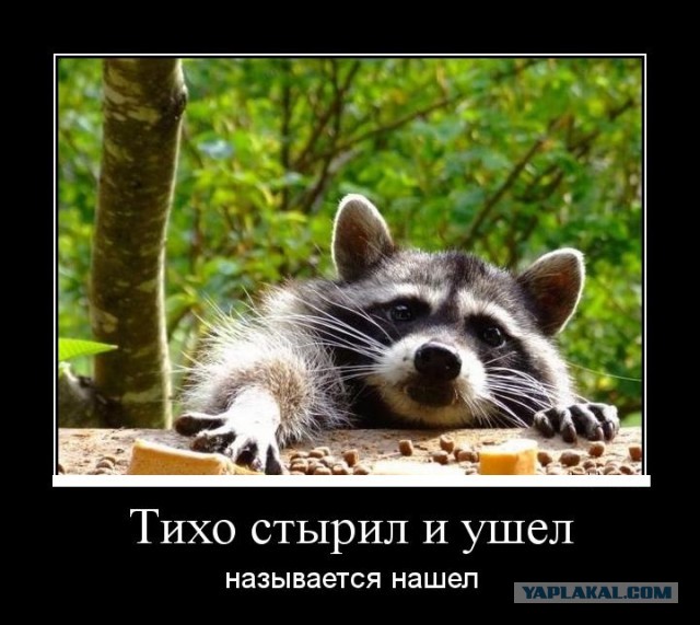 Я старею