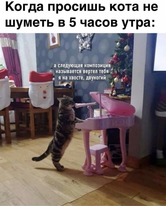 Пятничная Хня, для деградантов