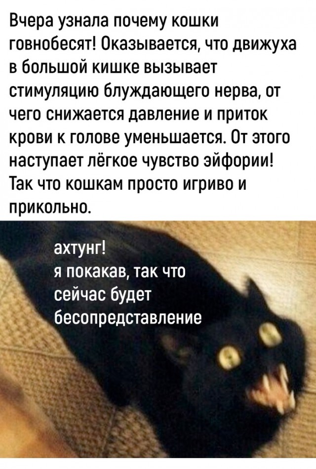 Так себе картинки 01.06.22