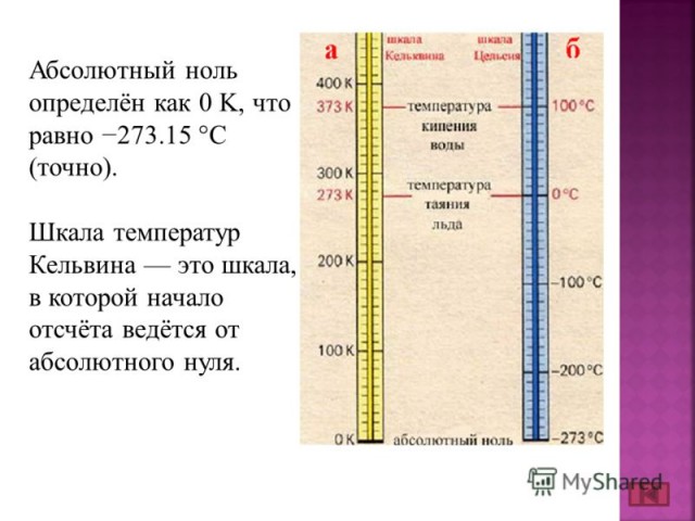 Пандемия съехавших крыш - разновидности болезни. Россия и мир. Часть 38