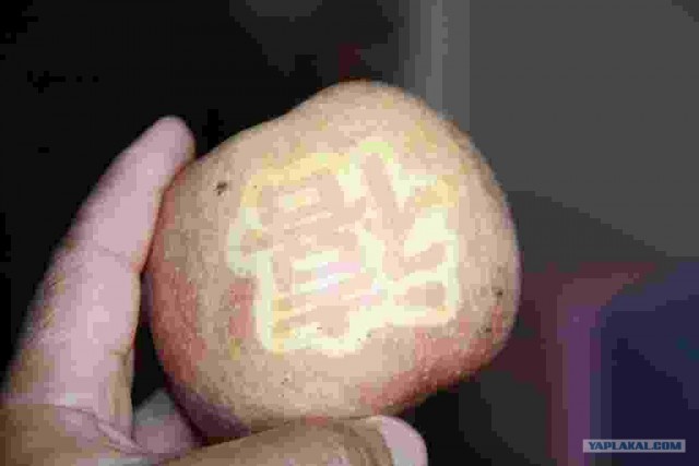 Афганистан 2012