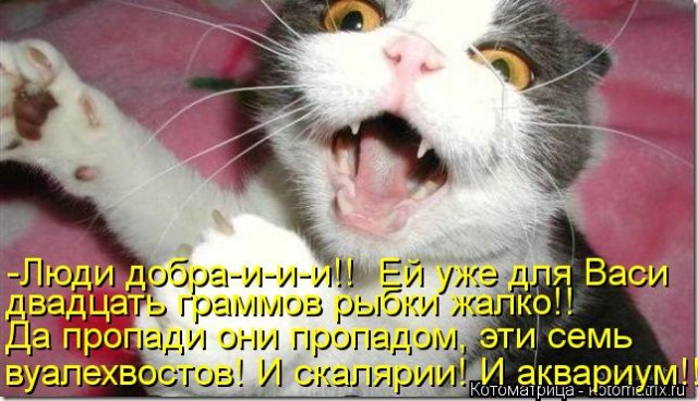 Хочу завести рыбов
