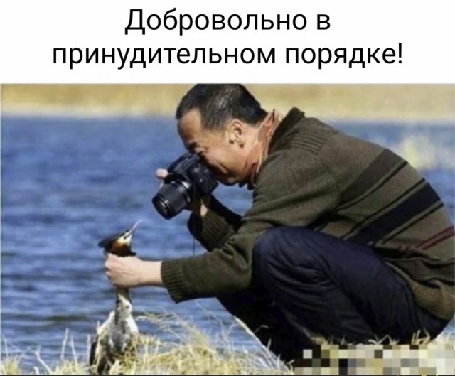 Немного картинок и прочей хреноты Vol. 20