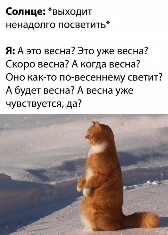 Картинки и мемы, всем хороших выходных