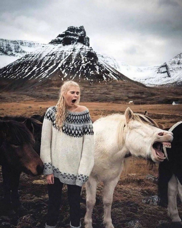 Подборка интересных и прикольных фото из Сети 01.04.23