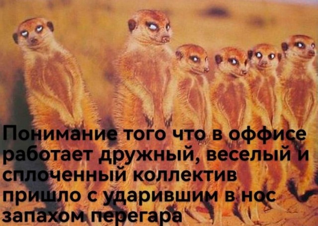 Дело было вечером, выпить было нечего...