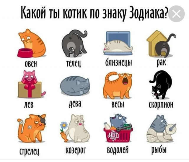 Мужики, одумайтесь! Памятка одинокому мужчине при переезде из города в деревню