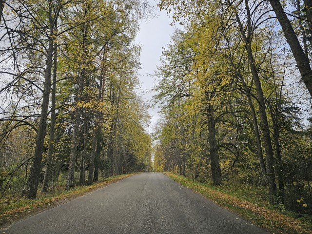 Осень в нашем СНТ