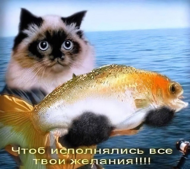 Всего понемногу. От 20.03.24