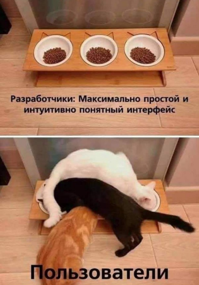 День уважения кошки