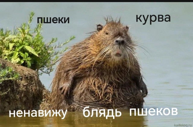 Обычный польский день