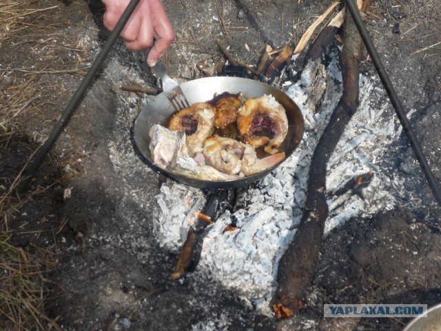 Рыбалки пост