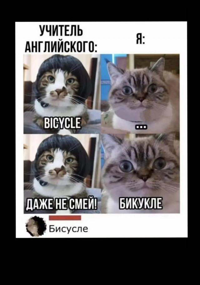 Немного картиночек...