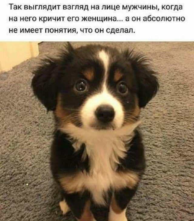 Так себе картинки 13.03.25