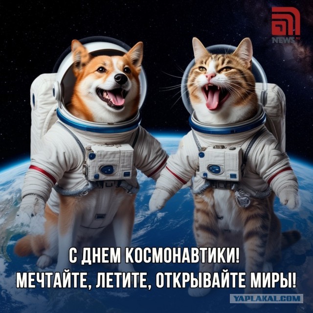 Поехали!