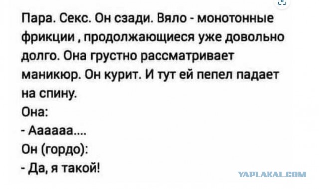 Картинки 23.04.25