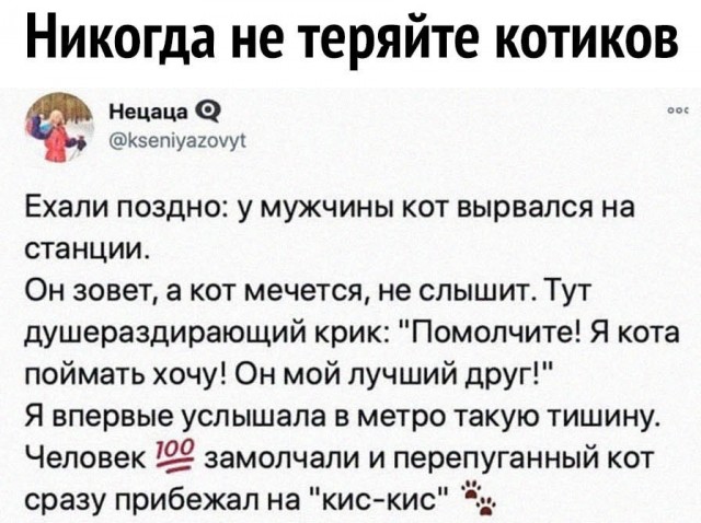 Так себе картинки 03.05.25