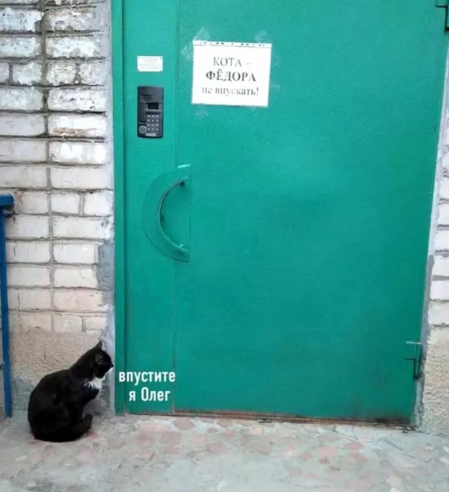 Завалялось тут случайно немного забавных картинок
