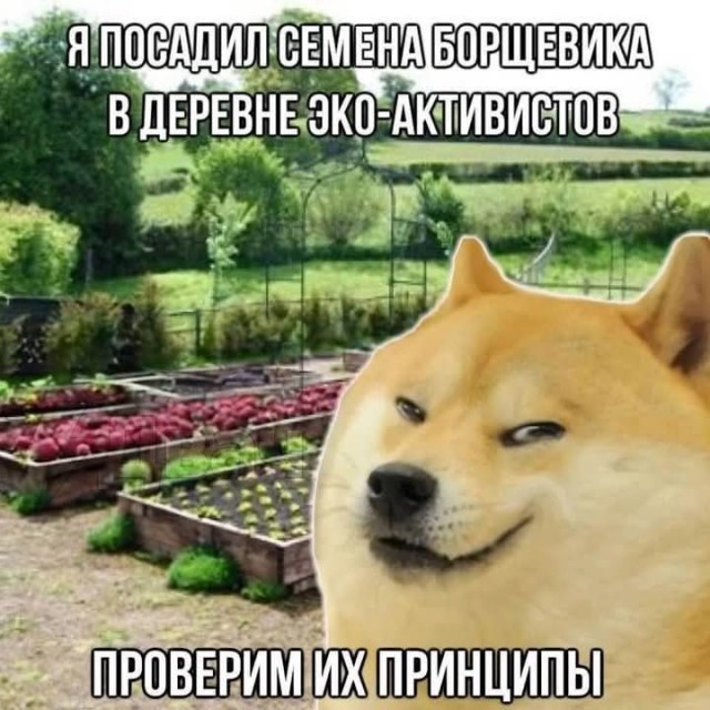 Пятничные тРРРидцать тРРРи!