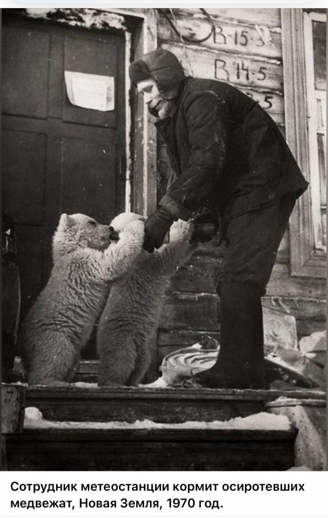 ​ Фотографии из прошлого нашей страны – 114