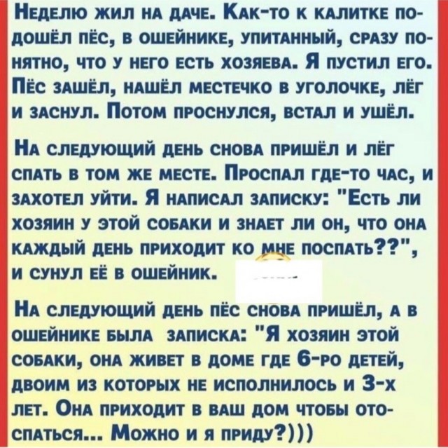 Так себе картинки 05.08.25