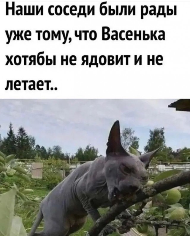 Прикольные и просто красивые картинки 15.08.2025