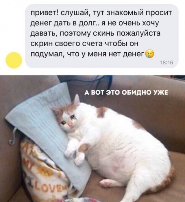 Немного картинкафф для настроения (баяны-перебаяны)