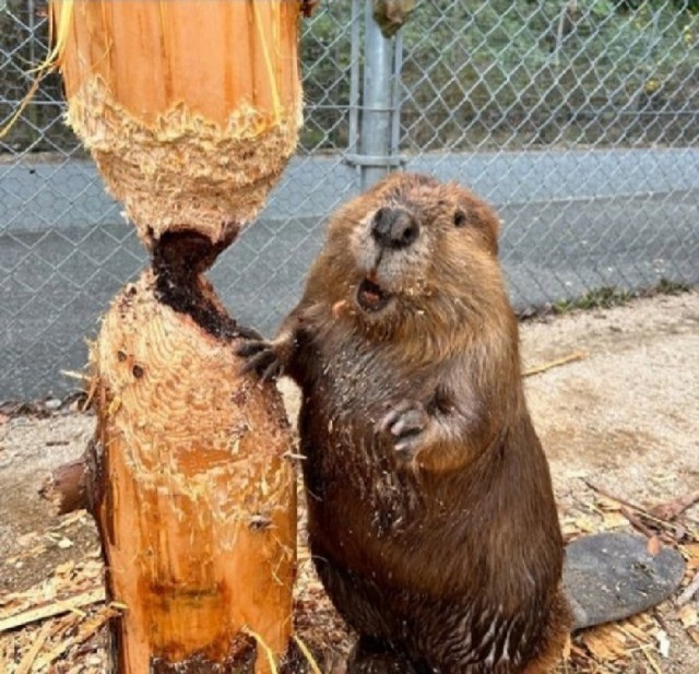 Так себе картинки 24.09.25