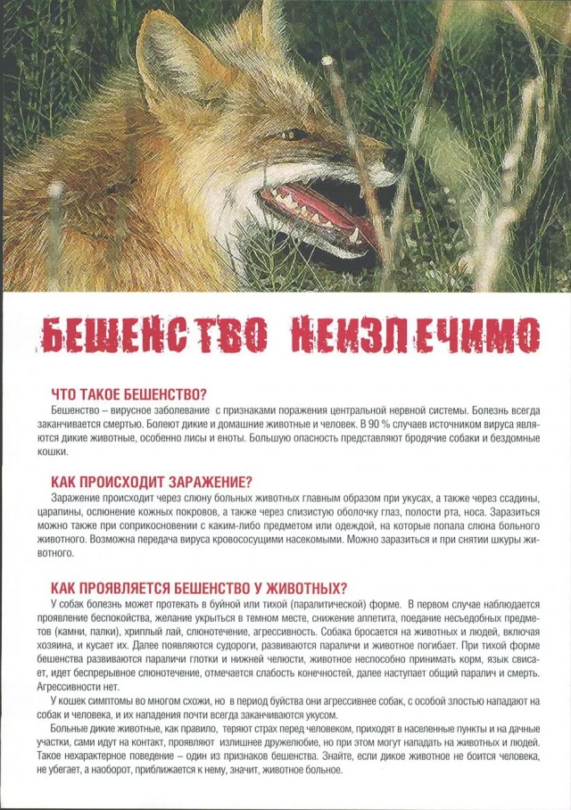 Придёт серенький волчок