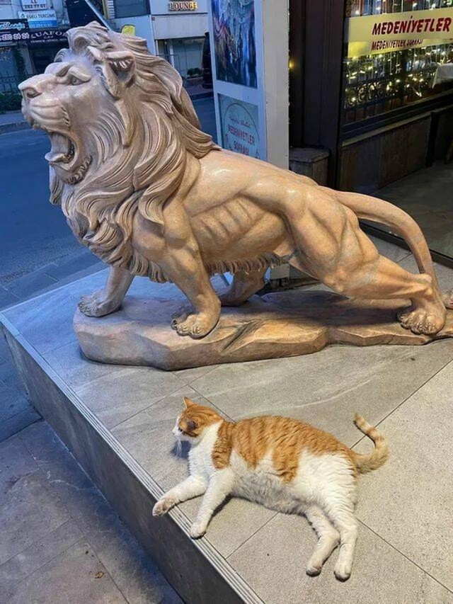 Картинки разные на вторник