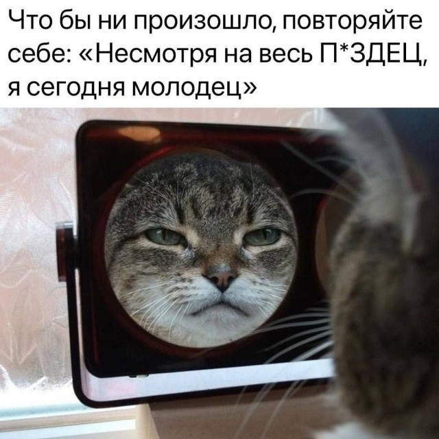 Деградация