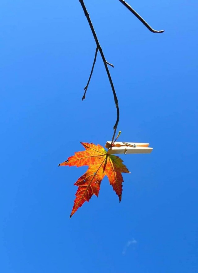 Так себе картинки 10.11.25