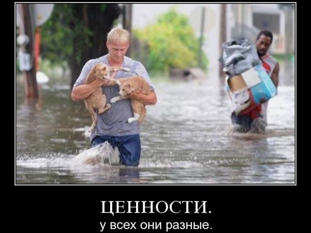 Это мой любимый тип людей