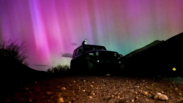 Это кот по кличке Гэри путешествует по Канаде вместе со своим хозяином.