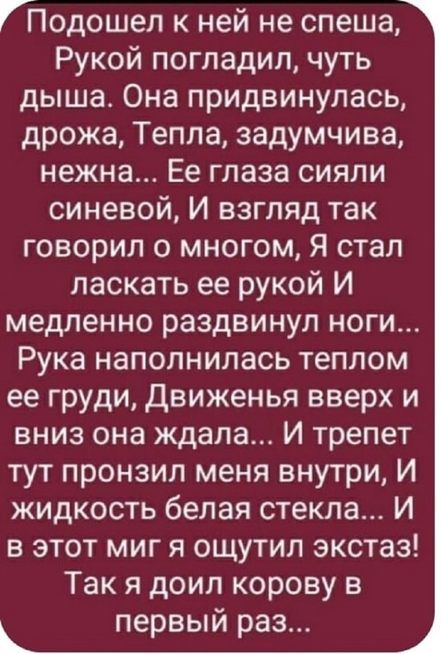 Так себе картинки 15.02.26