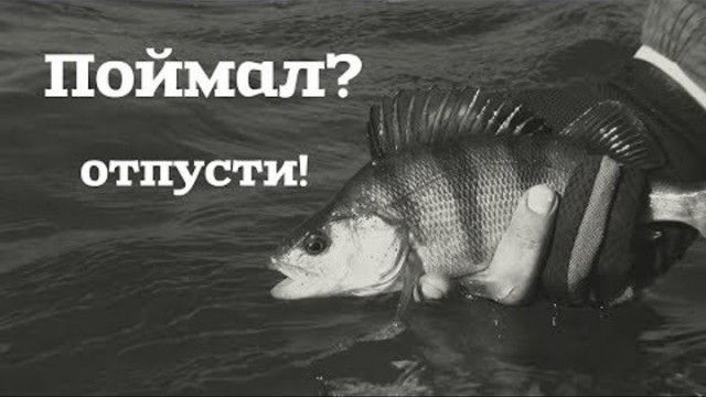 Йазь!