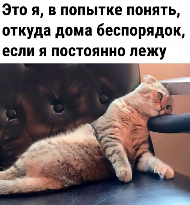 Субботние картинки