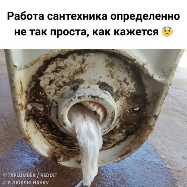Четверговые картинки