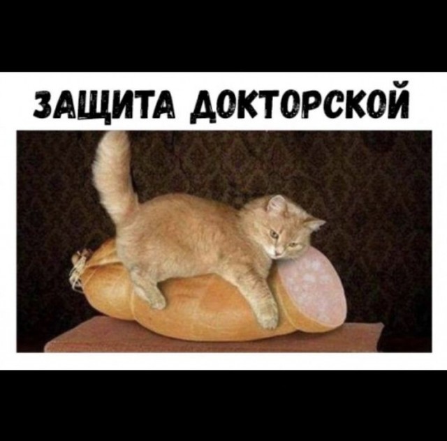 День рождения докторской колбасы. Ей исполнилось 90 лет.